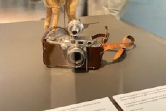 Exkursion ins Dokumentationszentrum Flucht, Vertreibung,  Versöhnung